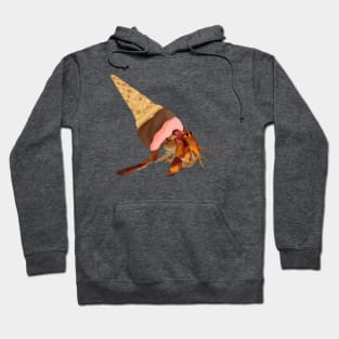 Ice Cream Cone Hermit Crab Hoodie